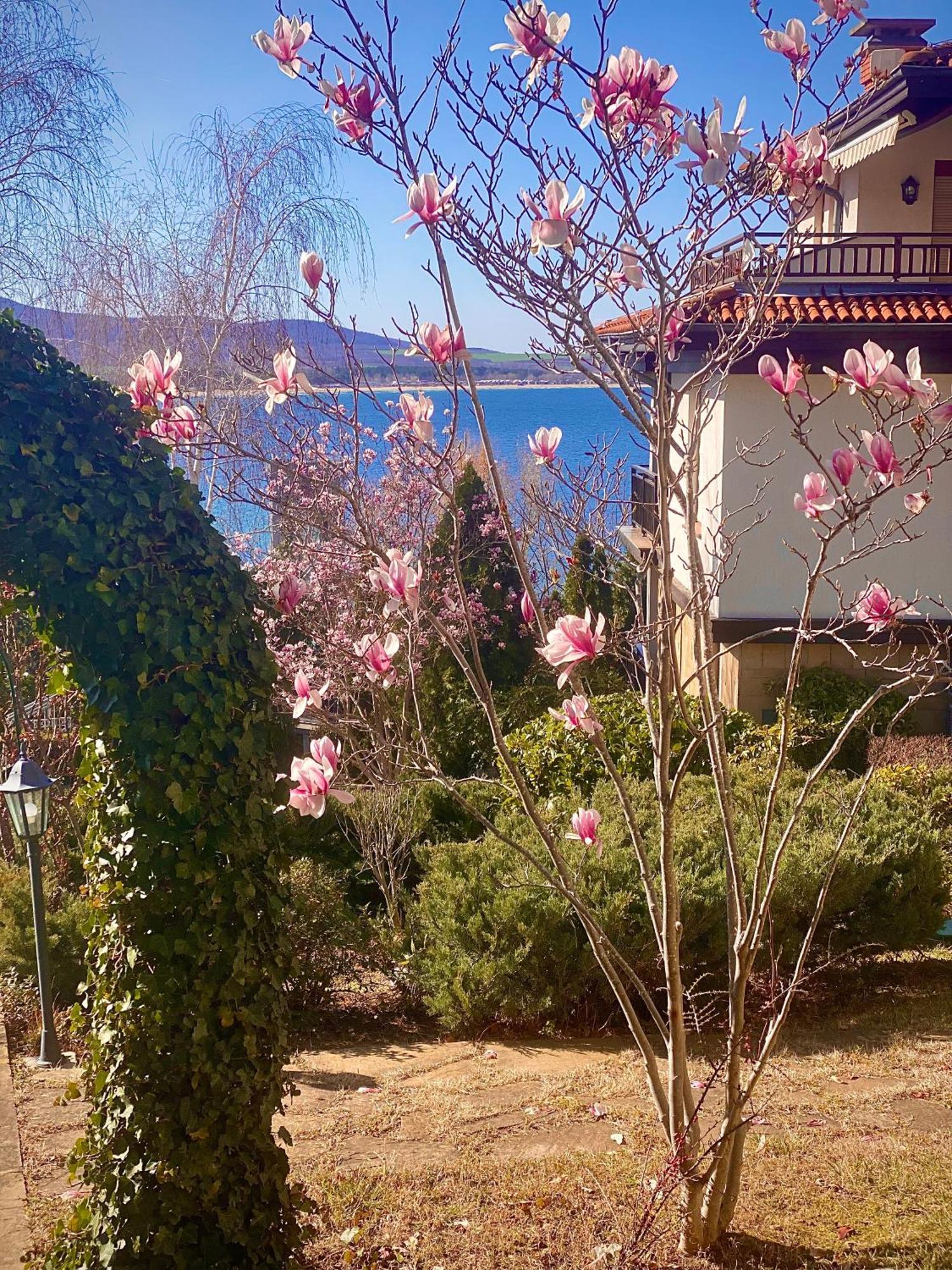 Aj Apartment 1 With Pool View, Santa Marina Holiday Village, Sosopol Exterior foto